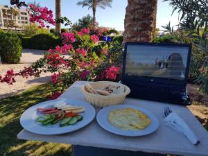 Nour Plaza Accommodation & Sales